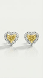 Amour - Yellow Diamond Heart Shape Studs Earrings — Levendi Jewellers