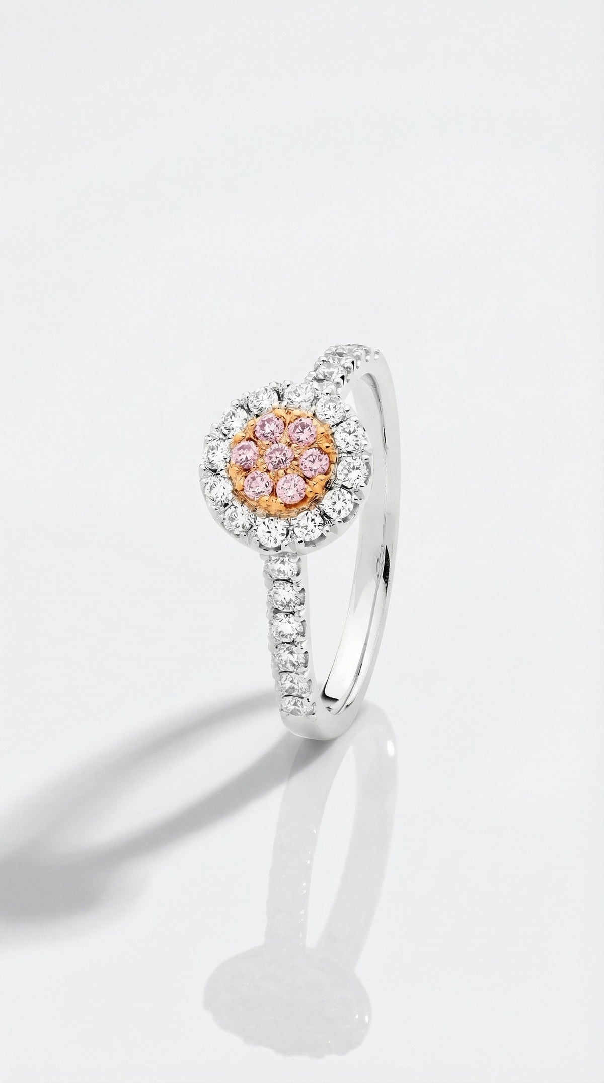 Argyle Essence - Anastasia Pink Halo Engagement Ring — Levendi Jewellers