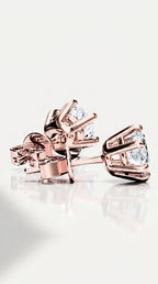 Classic Levendi 6 Claws Diamond Studs, view 6 — Levendi Jewellers
