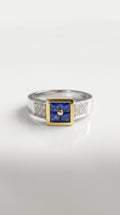 Princess Cut Sapphires Bezel Set Signet Ring