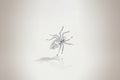 Arachnea Aurea - Web of love Diamond Ear Stud
