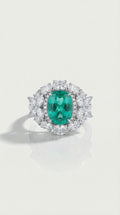 The Odyssey - Tourmaline Paraiba