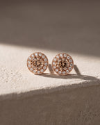 Fancy Cognac Diamond Hidden Halo Earrings — Levendi Jewellers